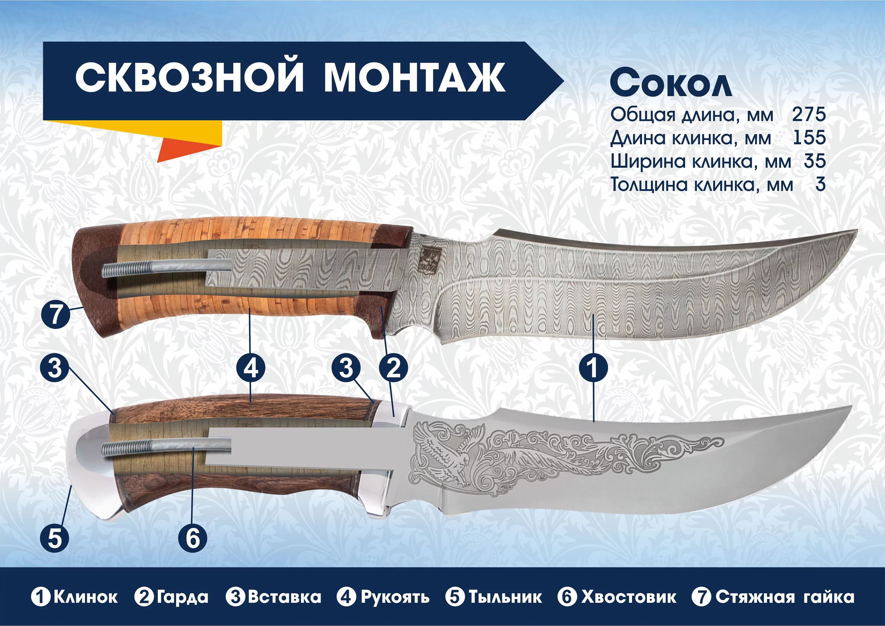 Сокол