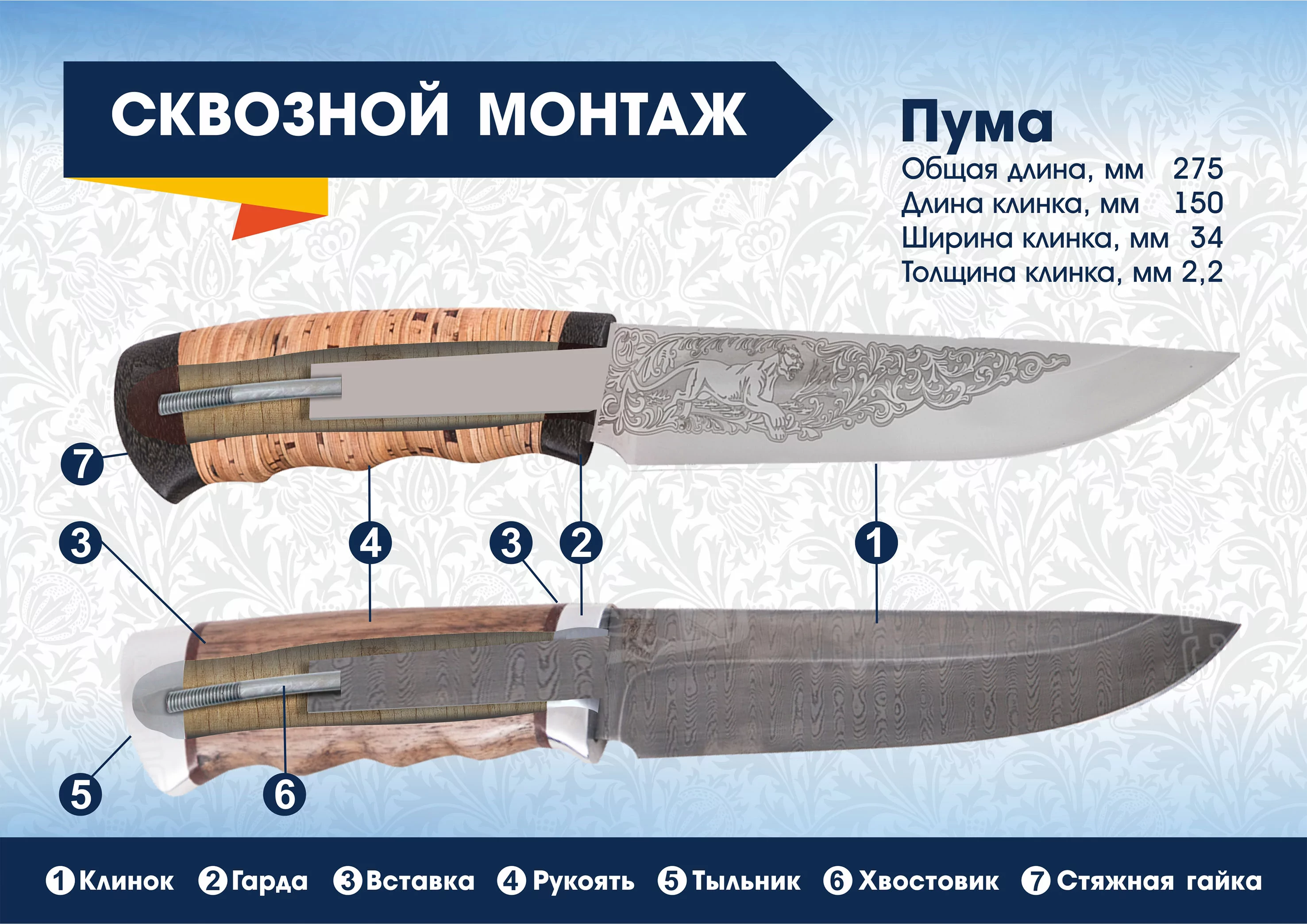 Пума