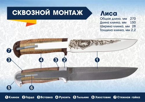 Лиса