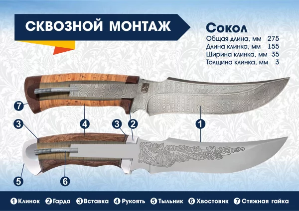 Сокол